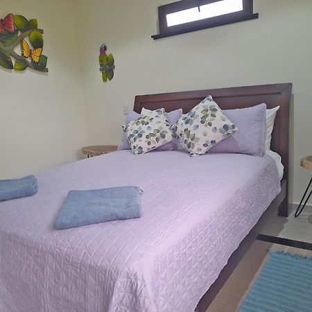 Top Rated - Lake View Arenal Suite - 2025 Traveller Awards Winner Tronadora Buitenkant foto