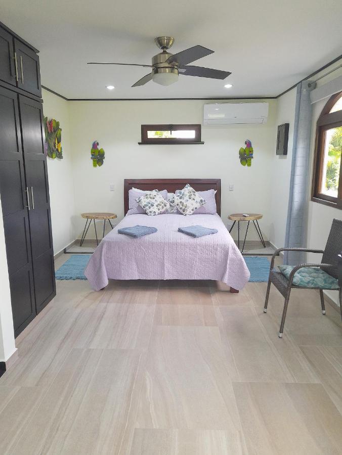 Top Rated - Lake View Arenal Suite - 2025 Traveller Awards Winner Tronadora Buitenkant foto