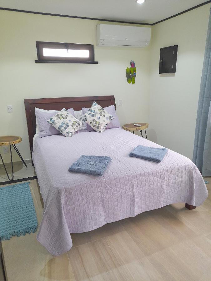 Top Rated - Lake View Arenal Suite - 2025 Traveller Awards Winner Tronadora Buitenkant foto